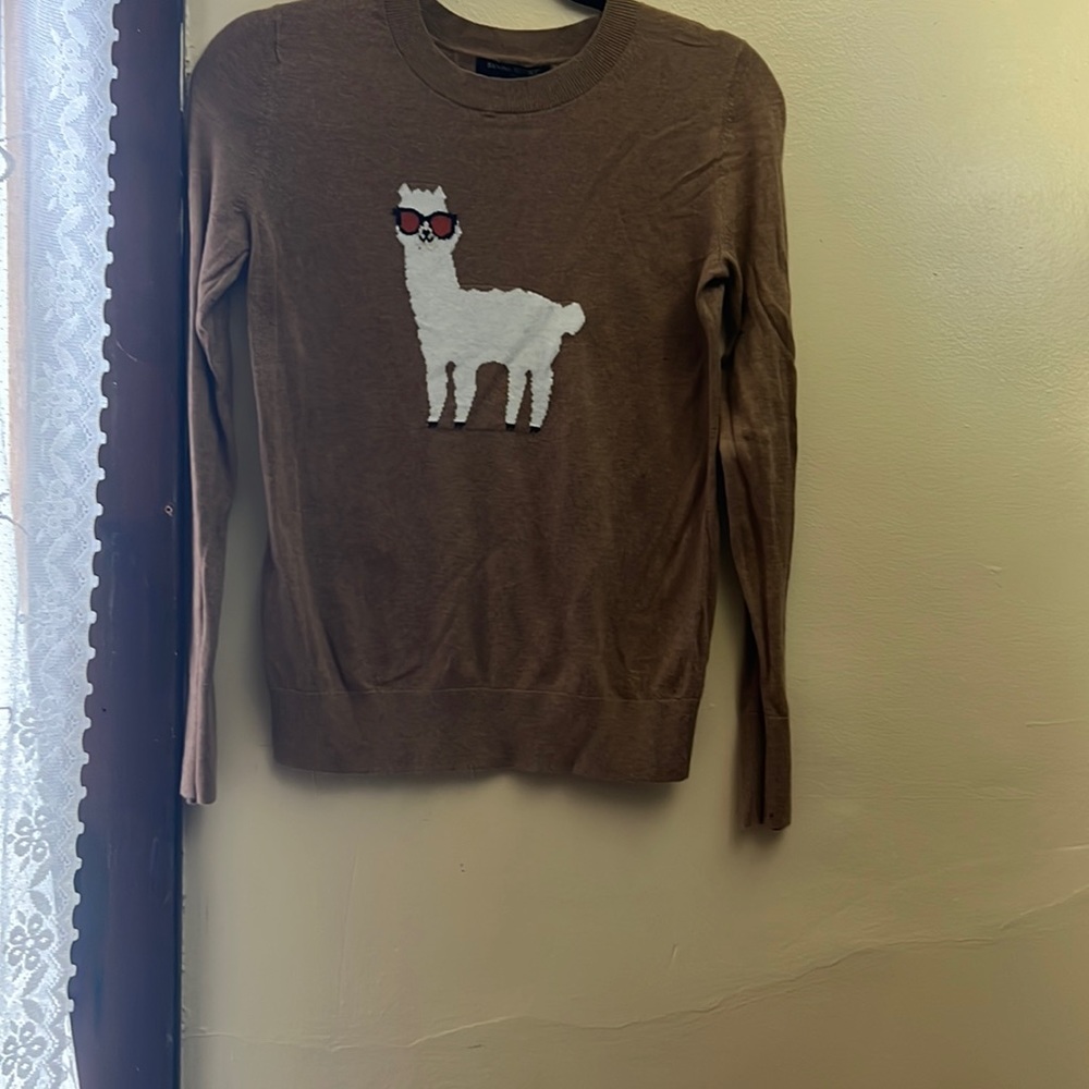 I am selling a Brown sweater with a lama on it.